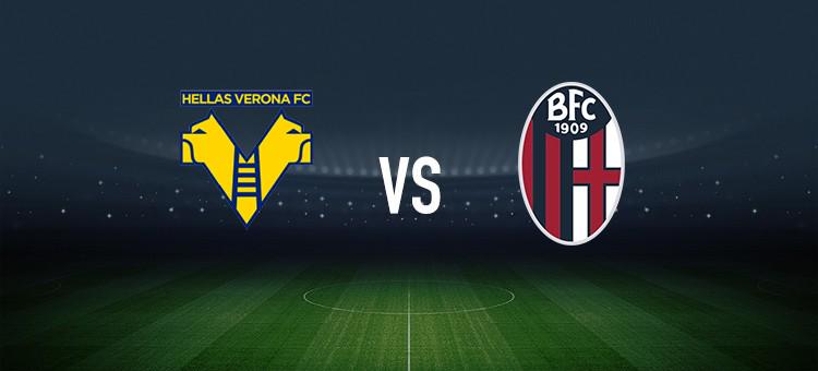 巅峰回归 巅峰回归