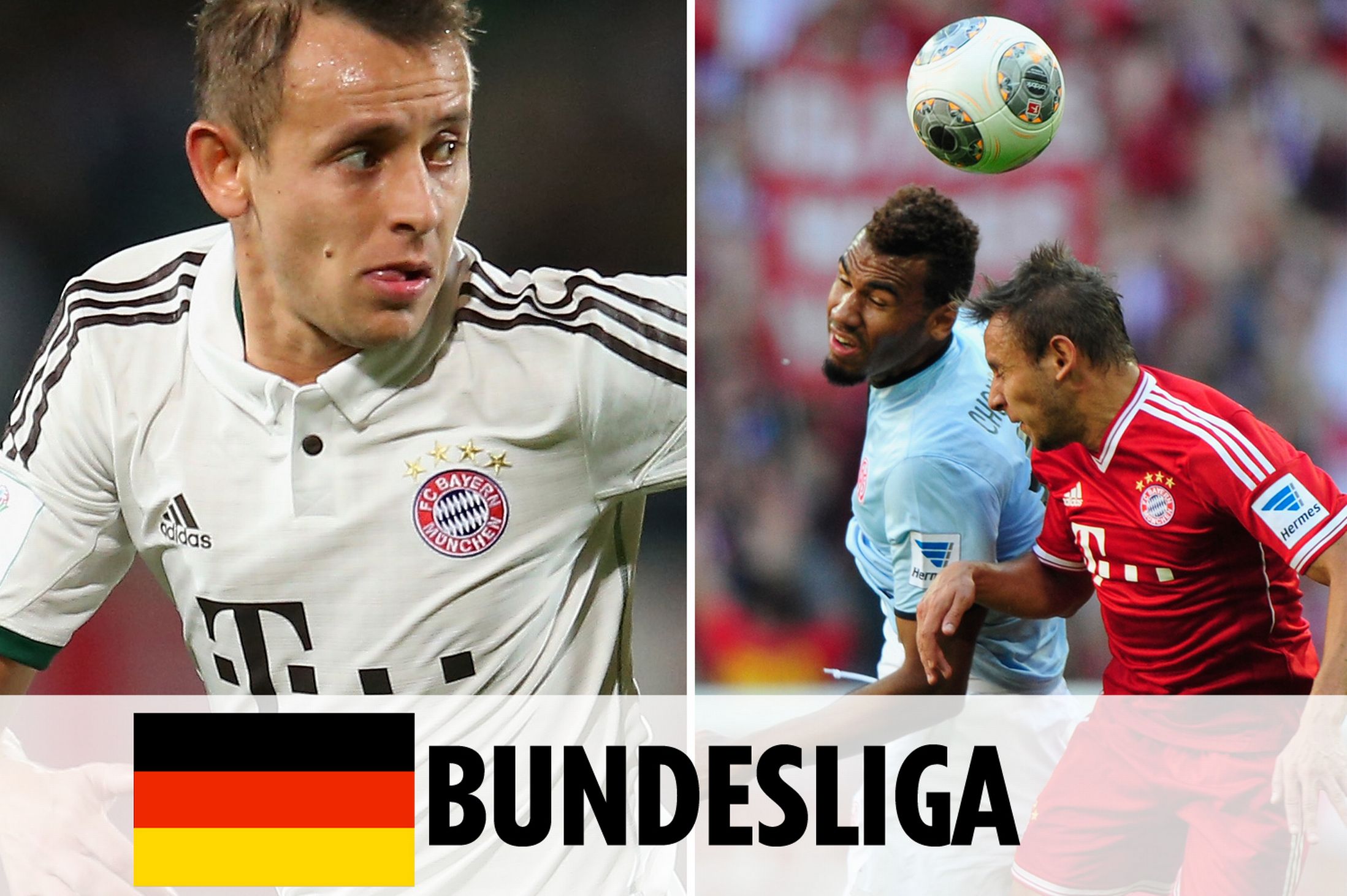 新援亮相与 新援亮相与